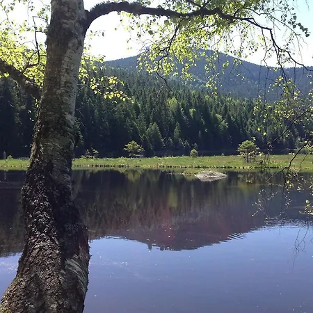 Bayerwald 3 Apartamento
